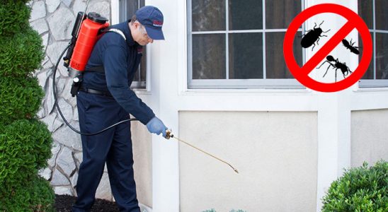Ardahan Bit İlaçlama böcek ilaçlama ve haşere kontrolü — ilaclama-tr.com